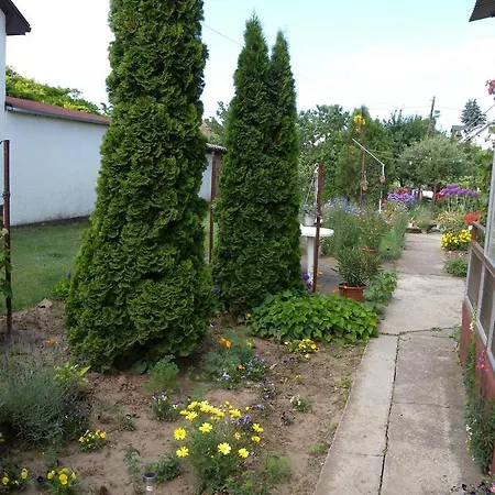 Apartamento In Siofok/balaton 19723